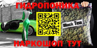 ешки Новодвинск