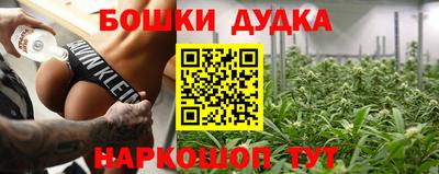 ешки Новодвинск