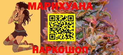 ешки Новодвинск