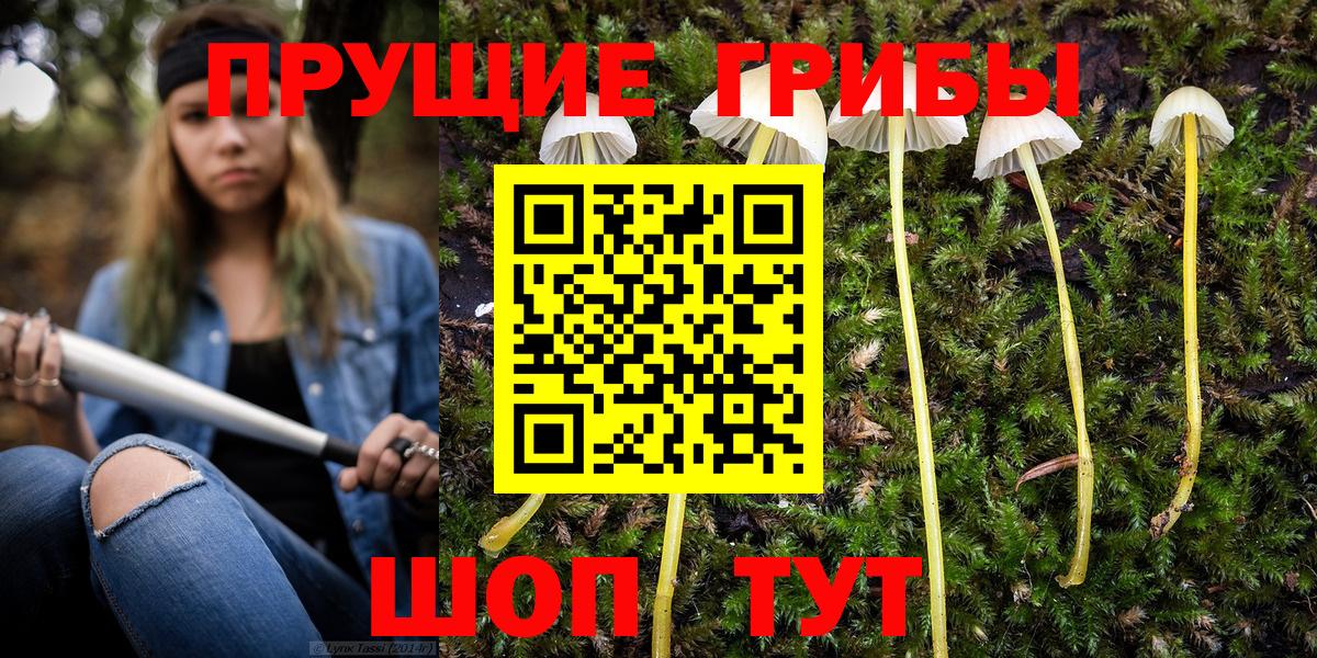 Петропавловск-Камчатский  купить наркоту  Вход с VPN  Псилоцибиновые грибы мицелий  Псилоцибиновые грибы Cubensis 